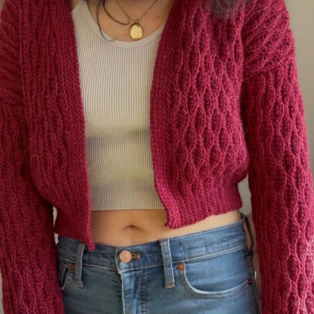 FInished Cropped Cardigan